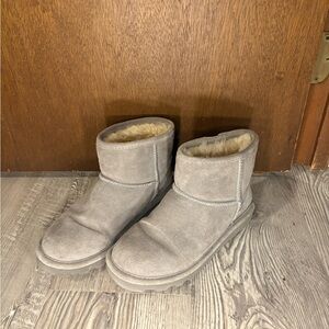 bearpaw grey mini